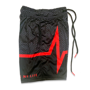 Hooplife Large Lifeline Shorts (B&R)