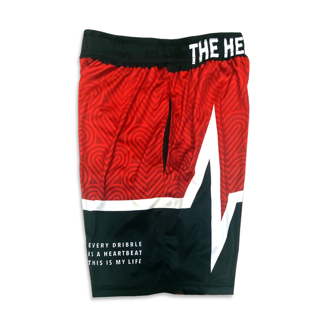 Hooplife Large Lifeline Shorts (R&B)