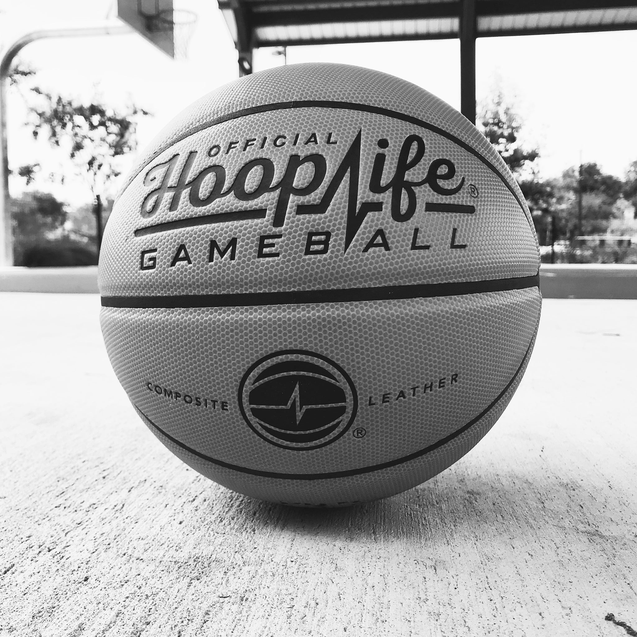 The Hooplife® 2V2® 2018 (RESULTS)